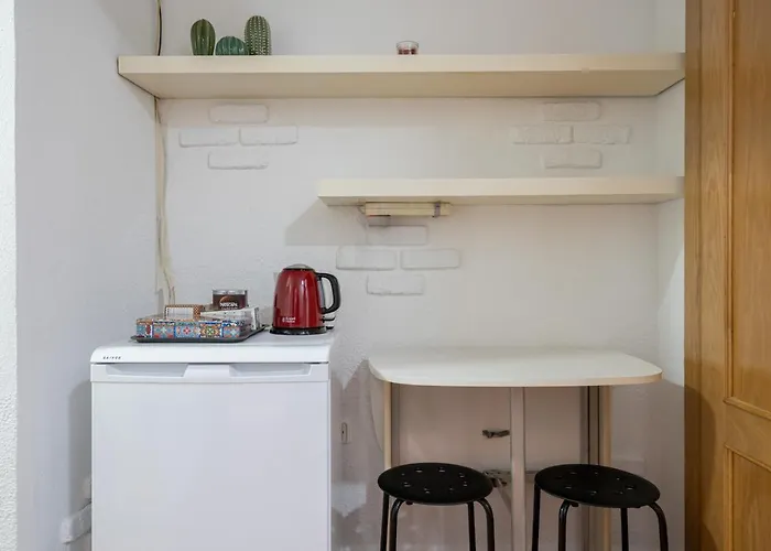 Comodo Apartamento En El Centro De Madrid
